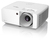 Optoma ZH420 projektor danych Projektor o standardowym rzucie 4300 ANSI lumenów DLP 1080p (1920x1080) Kompatybilność 3D Biały