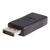 Adaptateur Vidéo DisplayPort® vers HDMI® - Convertisseur DP - 1920x1200