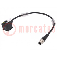 Adapter cable; DIN 43650 plug,M12 male; PIN: 3; IP67; 0.3m; 3A
