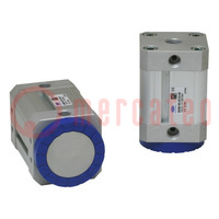 Magnetic gripper; 5÷70°C; 180N; Operating modes: bistable