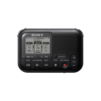 Sony Digitaler Voice Recorder