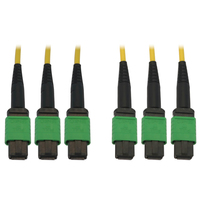 Tripp Lite N392B-61M-3X8AP Cable de Fibra Óptica Monomodo 9µm / 125µm OS2 40G / 100G (3x8F MTP/MPO-APC H/H), LSZH, Amarillo, 61 m [200 pies]