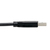 Tripp Lite U428-006 Cable USB-C a USB-A (M/M), USB 3.1 Gen 1 (5 Gbps), Compatible con Thunderbolt 3, 1.83 m [6 pies]