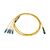Tripp Lite N390-02M-4S-AP cable de fibra optica 2,01 m 12x MTP/MPO 4x SN OFNR OS2 Negro, Azul, Verde, Blanco, Amarillo