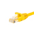 Netrack BZPAT0P56Y kabel sieciowy Żółty 0,5 m Cat6 U/UTP (UTP)