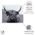 WENKO Glasrückwand Highland Cattle 60 x 50 cm