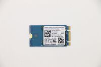 SSD M.2 PCIe NVMe FRU SSD 128GB RoHS WD M.2-2242 SN520 128GB Gen3x2 Interne harde schijven / SSD