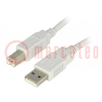 Cavo; USB 2.0; USB A spina,USB B spina; 5m; grigio; Filo: Cu