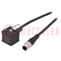Kabel-adapter; DIN 43650 wtyk,M12 męskie; PIN: 3; IP67; 2m