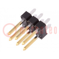 Conector: pin; regleta pin; BERGSTIK II; macho; PIN: 6; recto; THT