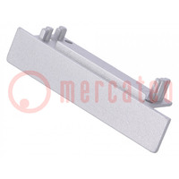 Cap for LED profiles; silver; 2pcs; ABS; FLAT8