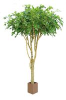 Artificial Silk Ficus Tree Natural Trunk - 220cm, Green