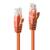 30M CAT.6 U/UTP CABLE, ORANGE