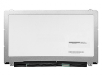 CoreParts MSC156F40-224M ricambio per laptop Display