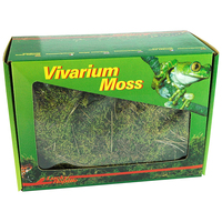 Lucky Reptile VM-150 Substrat für Reptilien/Amphibien Laubmoose 150 g