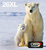 Epson Polar bear C13T26364511 tintapatron 1 dB Nagy (XL) kapacitású Fekete, Cián, Magenta, Sárga