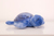 Cloud B Tranquil Turtle Baby-Nachtlicht Freistehend Blau