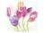 Servietten Ihr Lunch Tulip Season Tissue 20Stk., 33x33cm 3-lagig, von Ideal Home Range