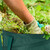 Relaxdays Laubsack selbstaufstellend, 3er-Set, Gartenabfallsack Pop-Up, 85L, Gartensack selbststehend, ∅: 46 cm, grün