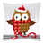 Cross Stitch Kit: Cushion: Owl in Santa Hat