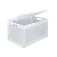 Translucent hinged lid