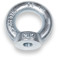 SAFETEX Ringmutter nach DIN 582 (WLL 140kg | Ø M6 | Material aus C15E) - verzinkt