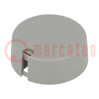 Knob; with pointer; plastic; Øshaft: 6.35mm; Ø40x16mm; grey; A10