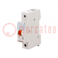 LED-indicatielamp; 230VAC; op DIN-rail; Kleur: oranje