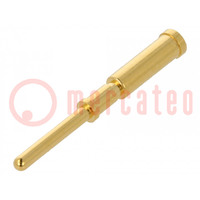 Contact; male; gold-plated; 0.5mm2; crimped; M12 Power connectors