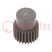 Spur gear; whell width: 16mm; Ø: 17mm; Number of teeth: 32; ZCL