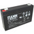 Fiamm FG10721 lead-acid battery 6 Volt