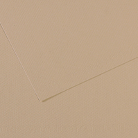 Carta Colorata Mi-Teintes Canson - A4 - 160 g - C31032S014 (Grigio Trianon Conf.