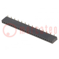 Socket; pin strips; female; PIN: 28; straight; 1.27mm; SMT; 1x28