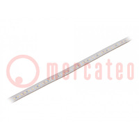 LED strips; neutraal wit; 2835; 24V; LED/m: 120; 10mm; witte PCB
