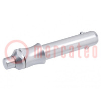 Locking pin; without handle,with locking; 10mm; 60kN