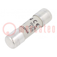 Fuse: fuse; gG,time-lag; 12A; 500VAC; 250VDC; 10x38mm