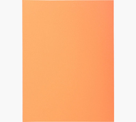 Exacompta 332007E fichier Carton Orange A4