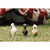 schleich FARM WORLD Trio de poules