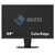 EIZO ColorEdge CS2420 computer monitor 61.2 cm (24.1") 1920 x 1200 pixels WUXGA LED Black