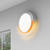 Somfy 2401491 - Protect Outdoor Siren | Compatible with Home Alarm and ONE ranges | 112dB & Bright Flash