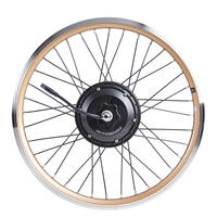 20" Rear Motor Wheel For The Hoptown 500e Folding Bike - Gold - 20"
