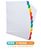 Oxford Index 1-10 Multipunched Mylar-reinforced Multicolour-Tabs 170gsm Extra Wide A4+ White Ref100204626
