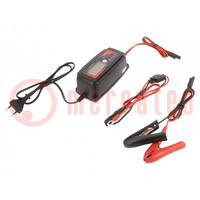 Charger: for rechargeable batteries; acid-lead,Li-FePO4,gel