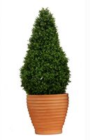 Artificial Boxwood Tower - 60cm, Green