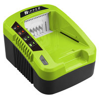 Zipper ZI-LGR40V-AKKU chargeur de batterie Secteur