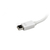 StarTech.com Mini DisplayPort auf HDMI / DVI / VGA Adapter - mDP Konverter für MacBook - Weiß