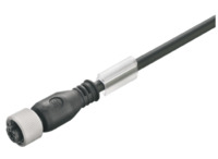 Sensor-Aktor Kabel, M12-Kabeldose, gerade auf offenes Ende, 5-polig, 3 m, PVC, s