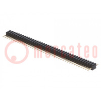 Connector: pin strips; pin header; male; PIN: 40; straight; 1.27mm