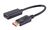 shiverpeaks BASIC-S 1.4 Adapter, DisplayPort - HDMI (22226221)
