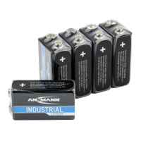 Ansmann 1505-0002 Haushaltsbatterie Einwegbatterie Lithium